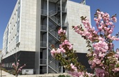 Park Hotel Porto Valongo